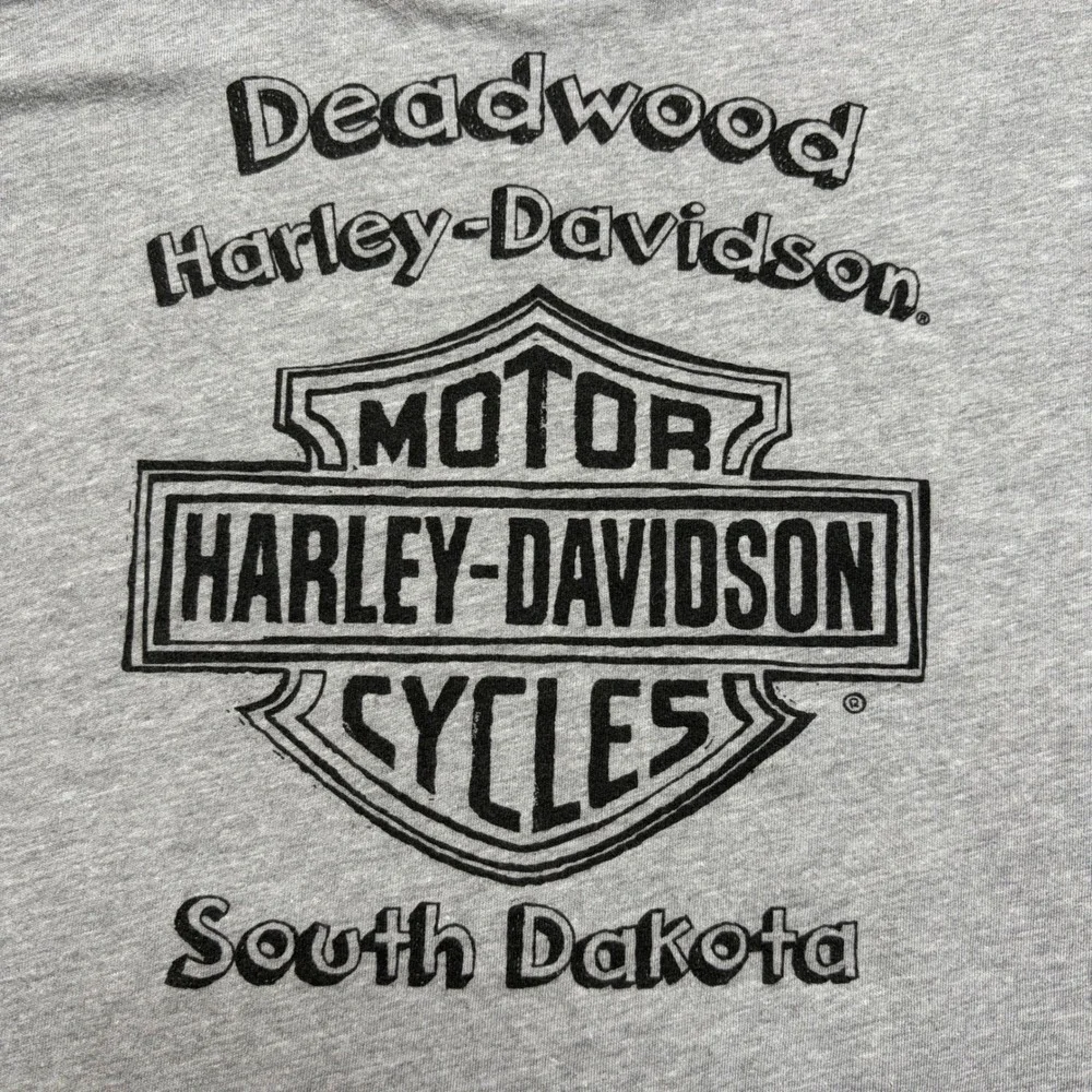 Harley-Davidson Graphic T-Shirt Kids Youth L Ride‎ Like The Wind Deadwood Y2K